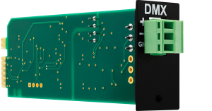 DMX1